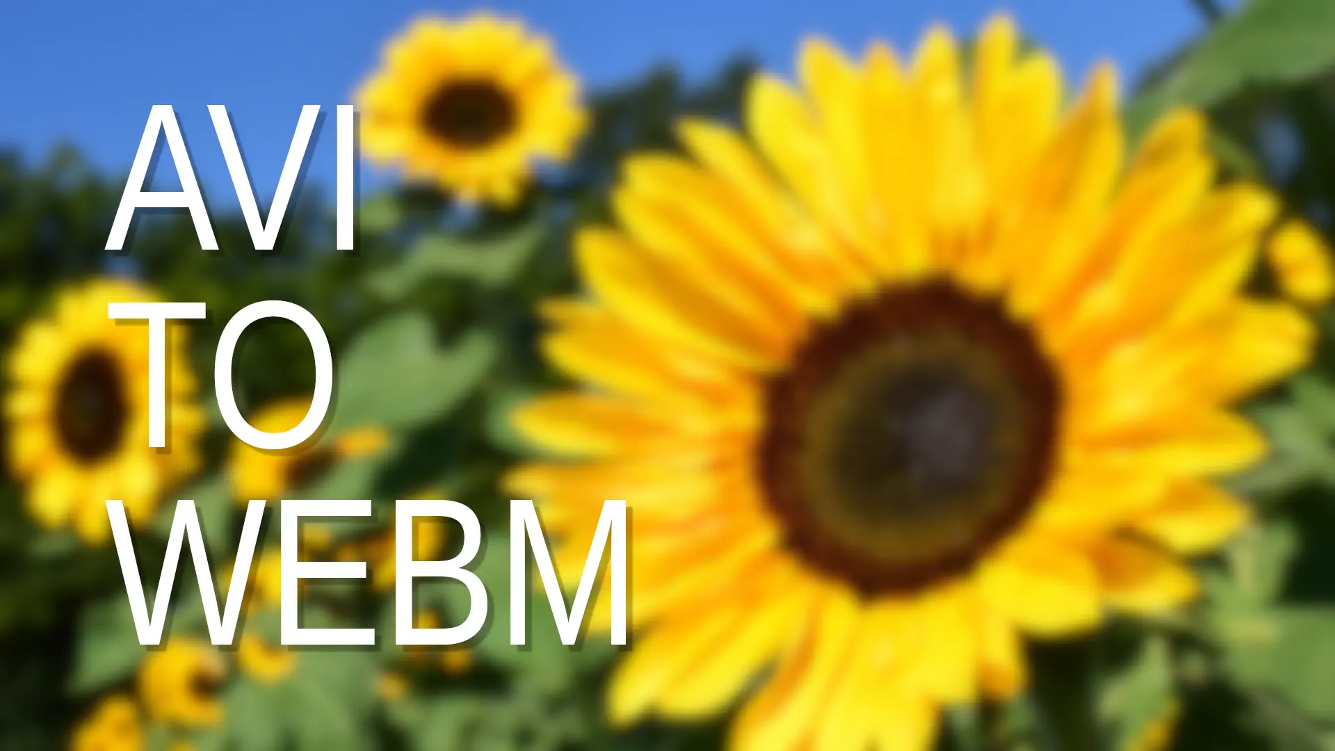 AVI to WEBM